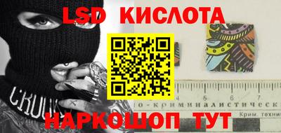 ПСИЛОЦИБИНОВЫЕ ГРИБЫ Кандалакша
