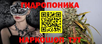 ПСИЛОЦИБИНОВЫЕ ГРИБЫ Кандалакша