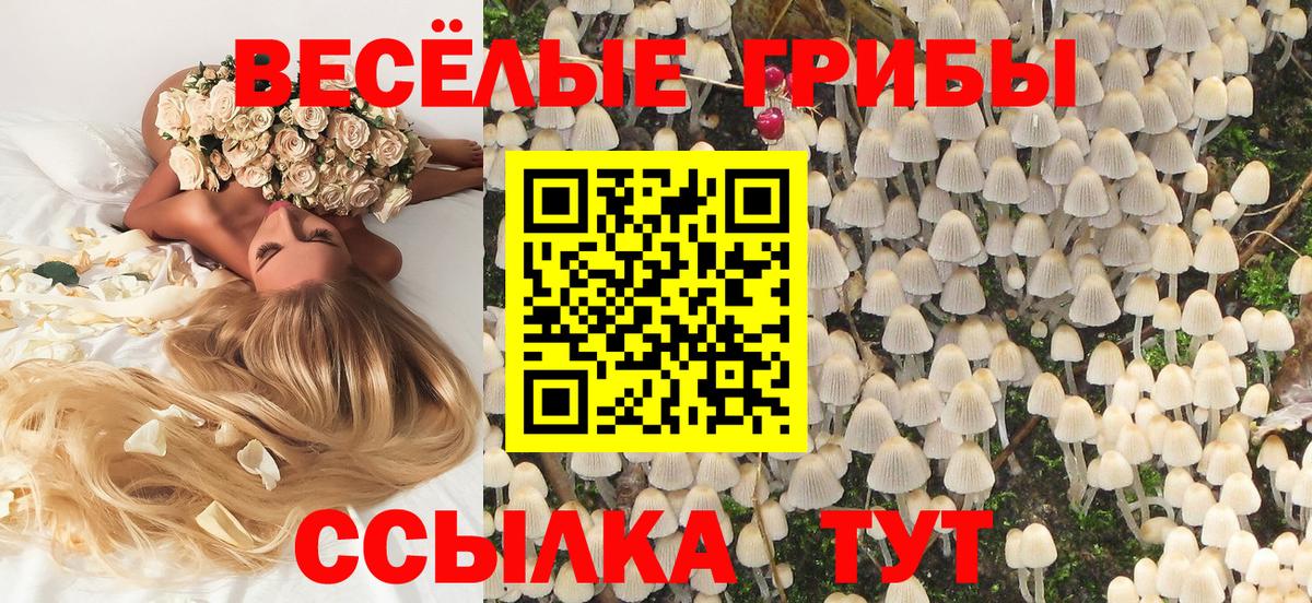 Галлюциногенные грибы мухоморы  Вход с VPN  Трёхгорный  Галлюциногенные грибы Cubensis 