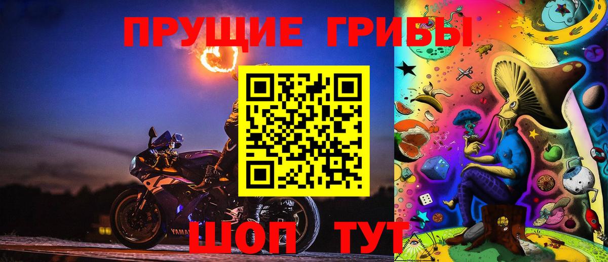 Галлюциногенные грибы Psilocybine cubensis Трёхгорный